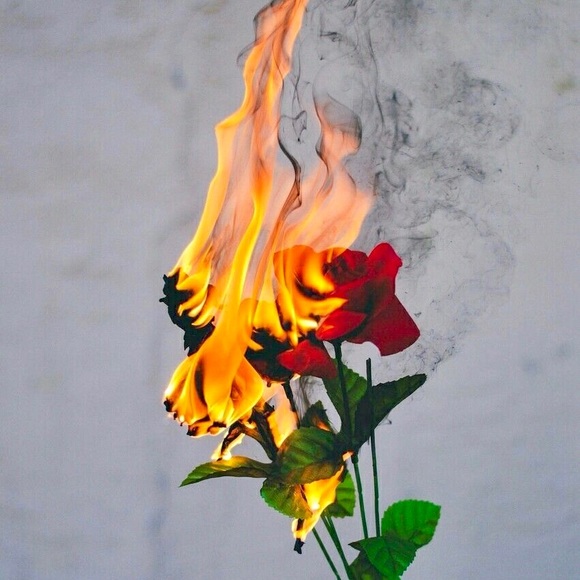 Meet your Posher, Tom - Picture 1 of 1